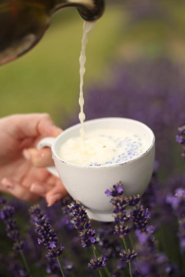 Lavender Valley Perekrestnoye Екстериор снимка